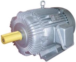 Induction Motor Manufacturer Supplier Wholesale Exporter Importer Buyer Trader Retailer in Navi Mumbai Maharashtra India